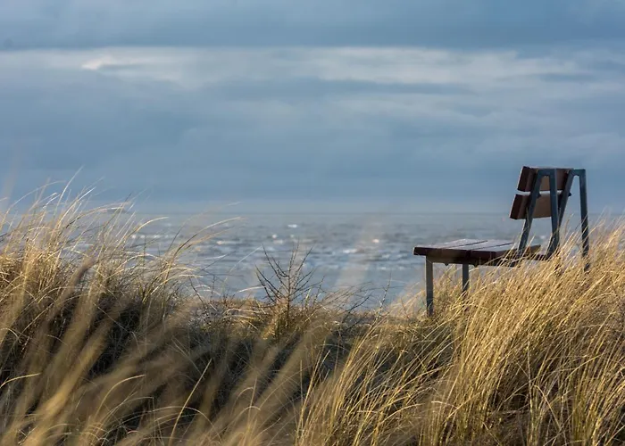 Апартаменты Noorderpad 5 Fakantsjetied